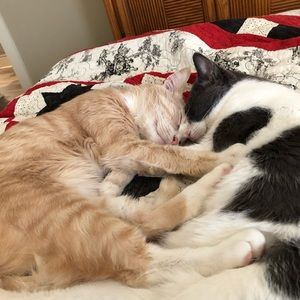 Meet your Posher, Melanie